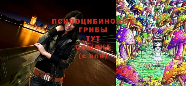 mix Новокубанск