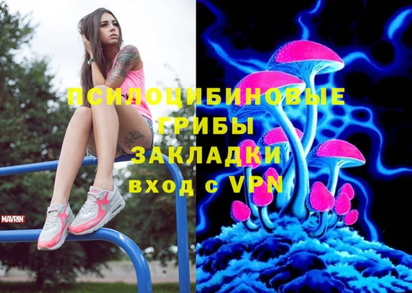 ешки Алзамай