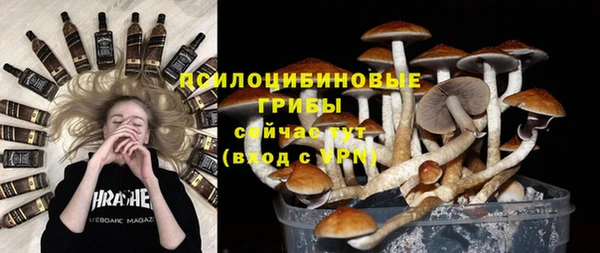 ешки Алзамай