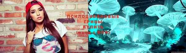 PSILOCYBIN Алексеевка