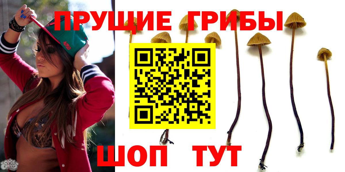 Галлюциногенные грибы Magic Shrooms Сунжа